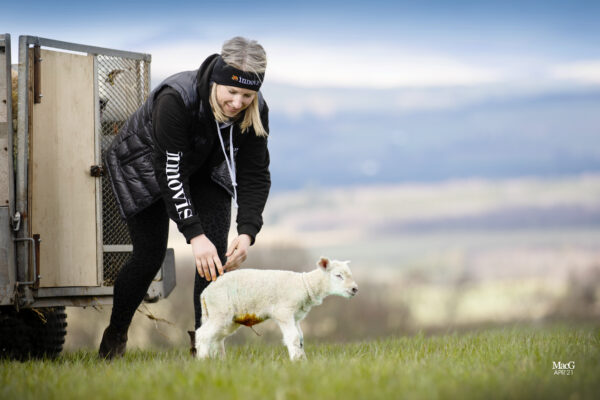 Lamb breeders wearing the Innovis headband