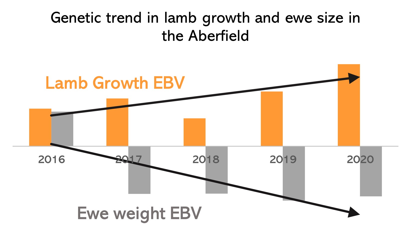 Chart showing the result of regenerative livestock farming practices on sheep breeding