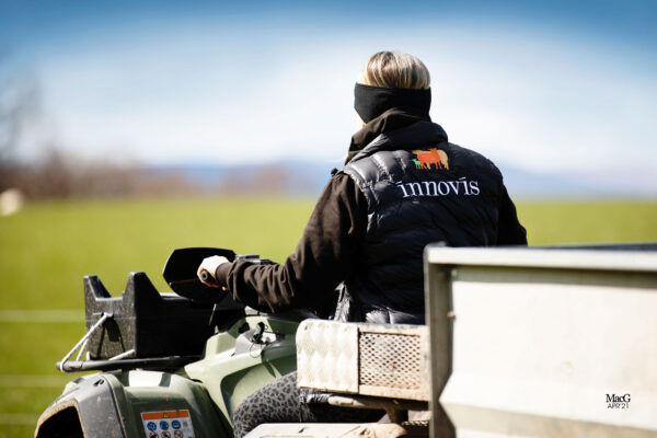 Person wearing bodywarmer whilst livestock farming