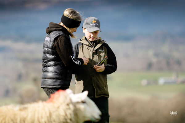 Two farmers wearing Innovis clothing next to some British sheep breeds