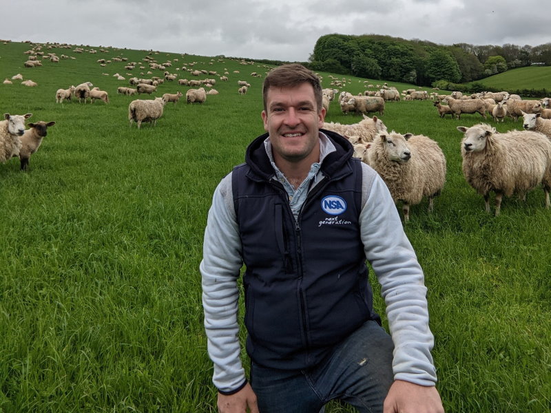 UK breeders in a field with many sheep behind them