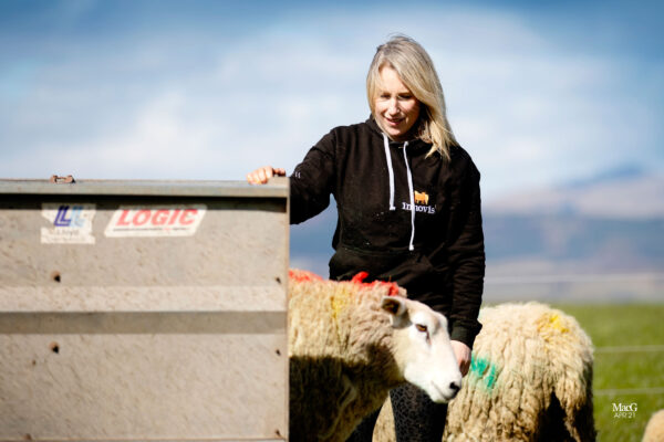 A farmer that buys sheep online and wearing an adult sized hoodie