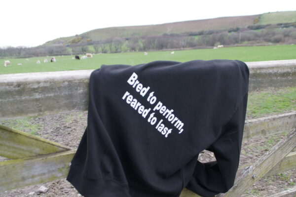 Hoodie with a sheep farming for beginners message printed on it