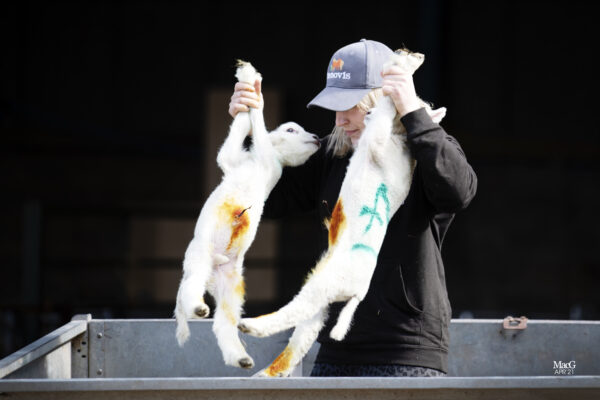 Our baseball cap being worn by UK breeders