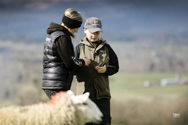 Livestock farming workers wearing the Innovis sheep breeding clothing