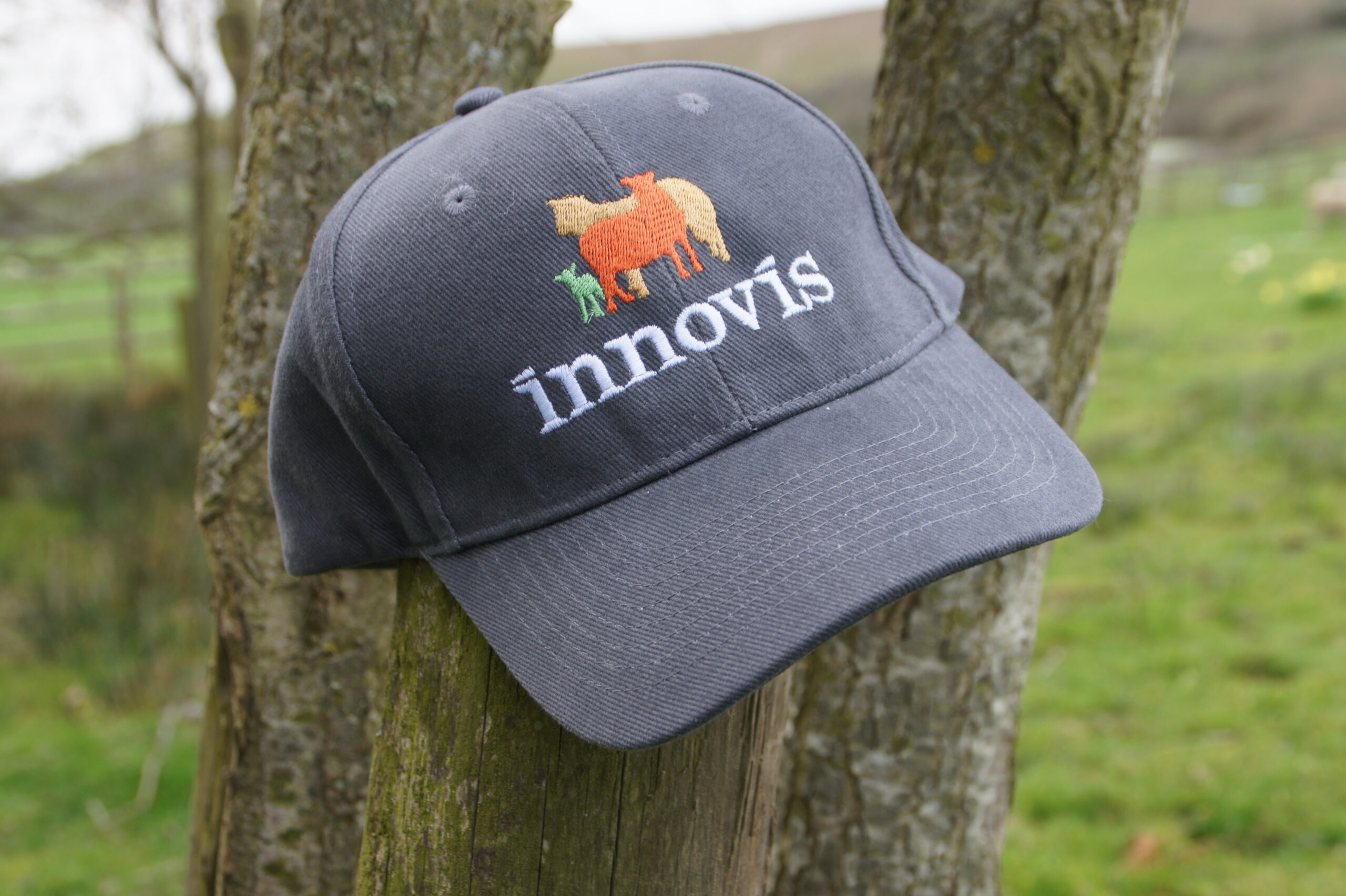 Sheep farming in Wales in style with our baseball cap