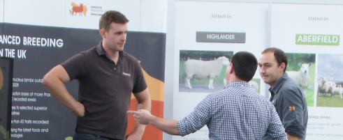 3 men discussing sheep prices and Innovis sheep breeding services at a convention