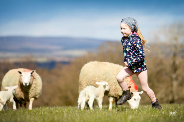 A child wearing an Innovis snood and learning sheep farming for beginners