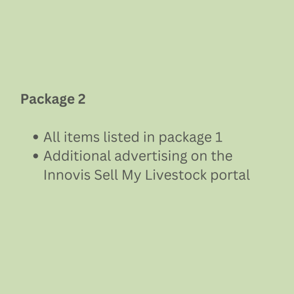 Package 2