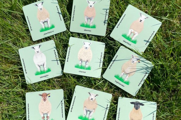 Innovis Coasters