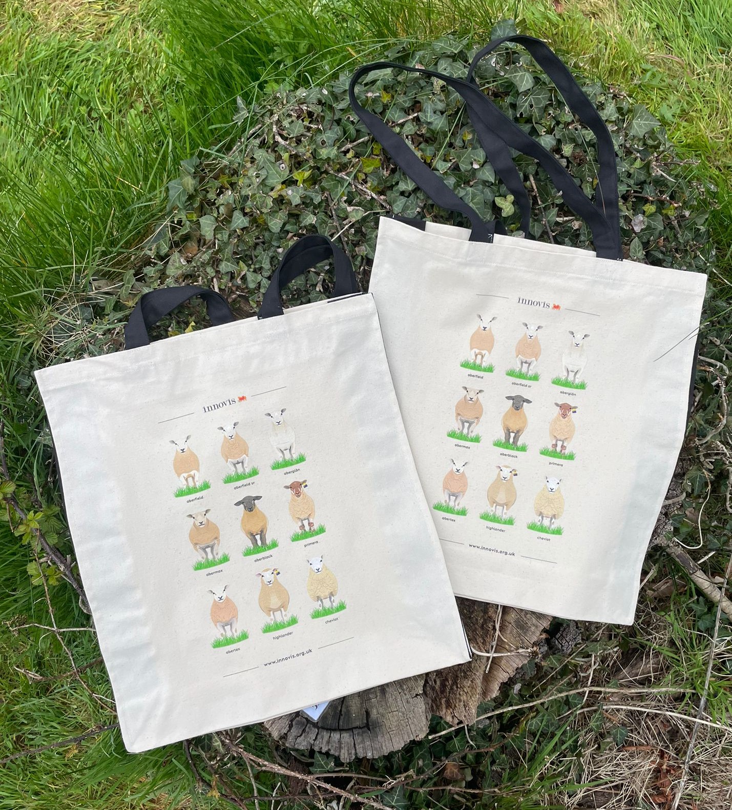 Canvas bag with rare breed sheep illustrations printed on it