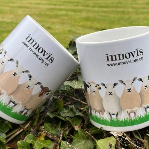 Innovis breeding livestock branded mugs