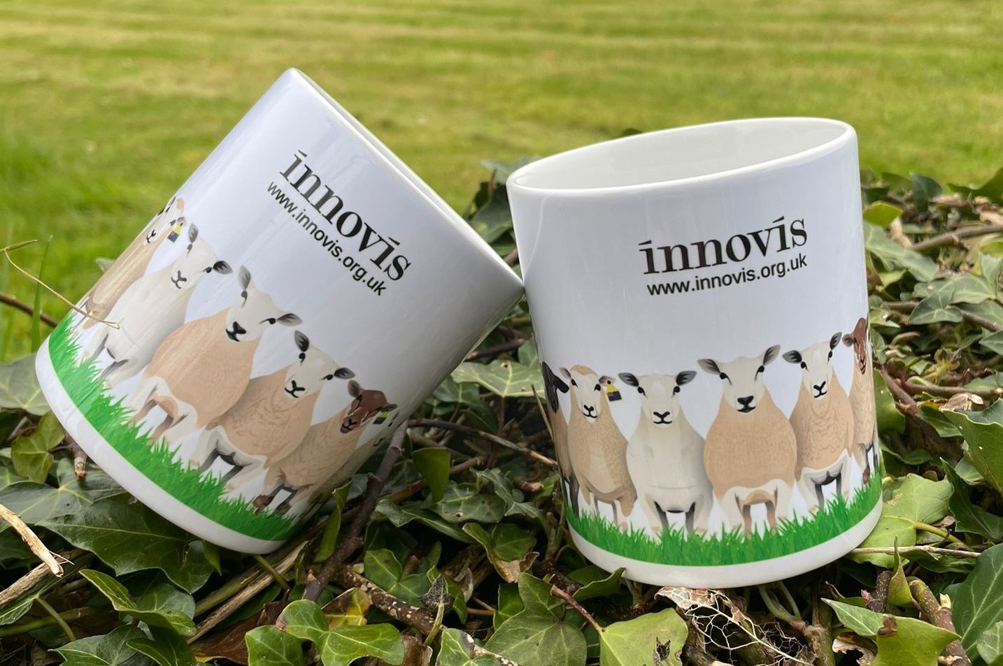 Innovis breeding livestock branded mugs