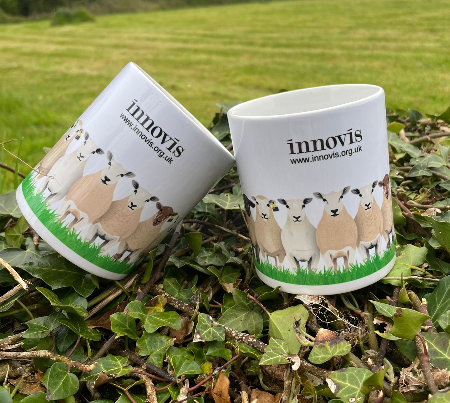 Innovis breeding livestock branded mugs