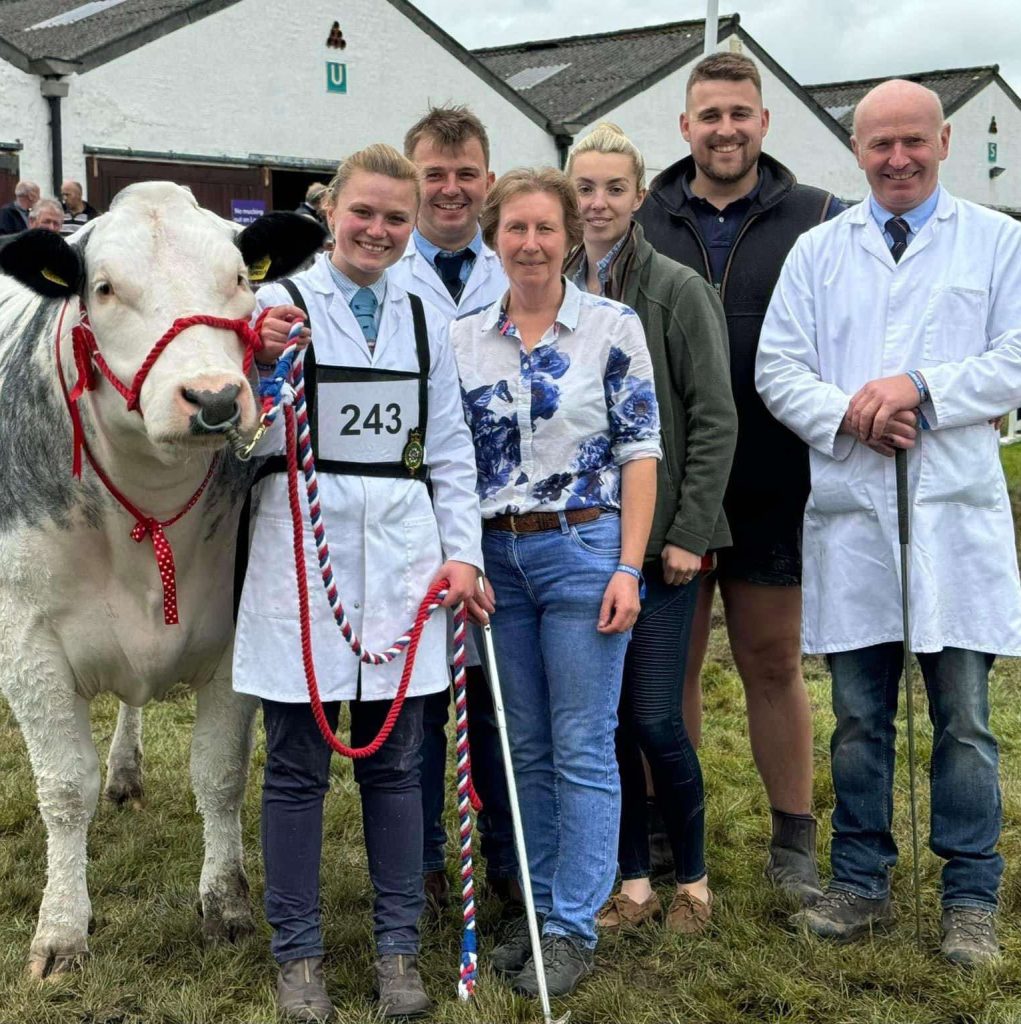 commercial sheep breeds