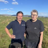 uk sheep breeders