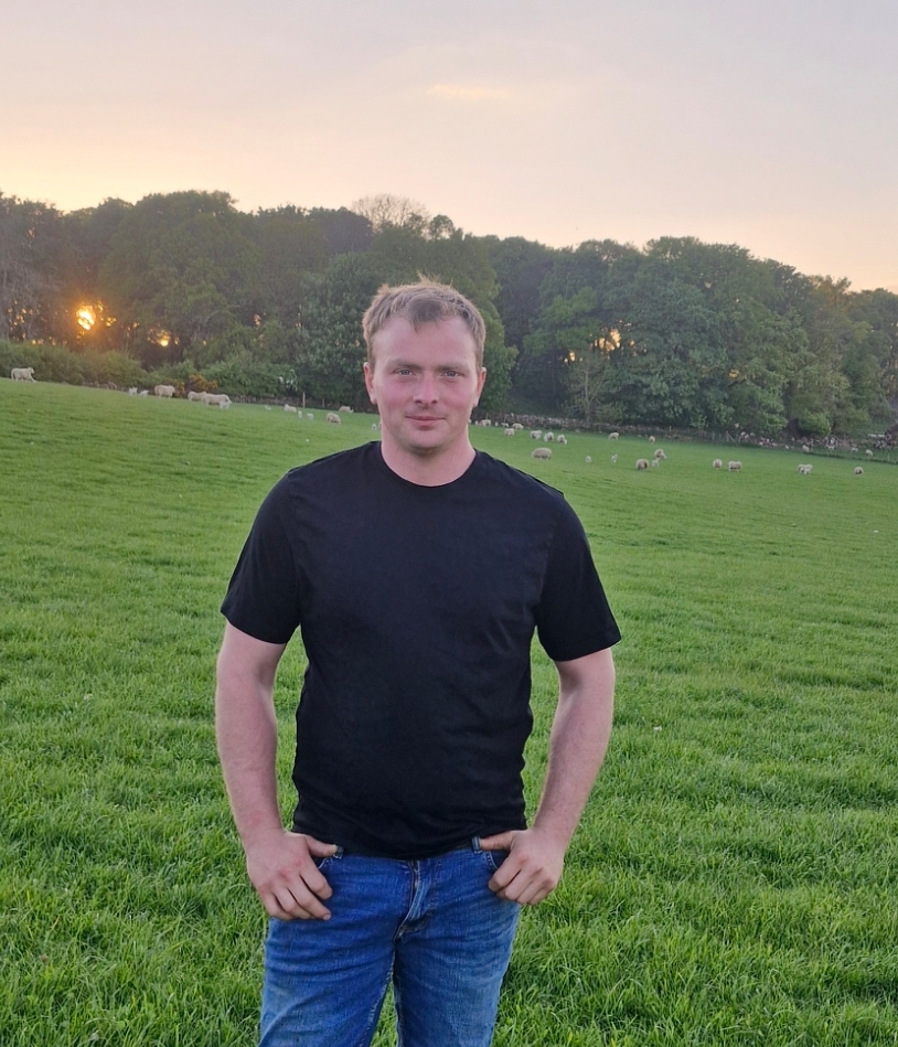 sheep genetics