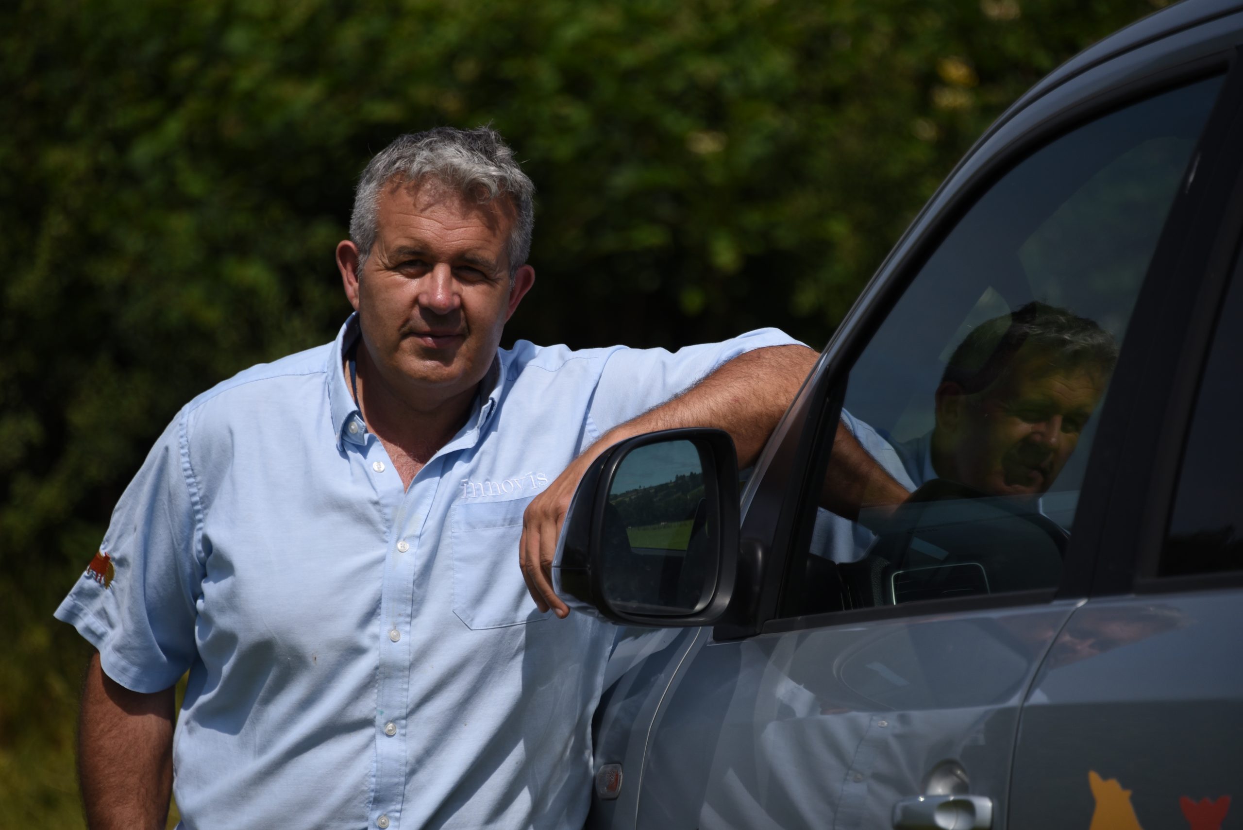 british sheep breeds | low carbon sheep | easy care sheep